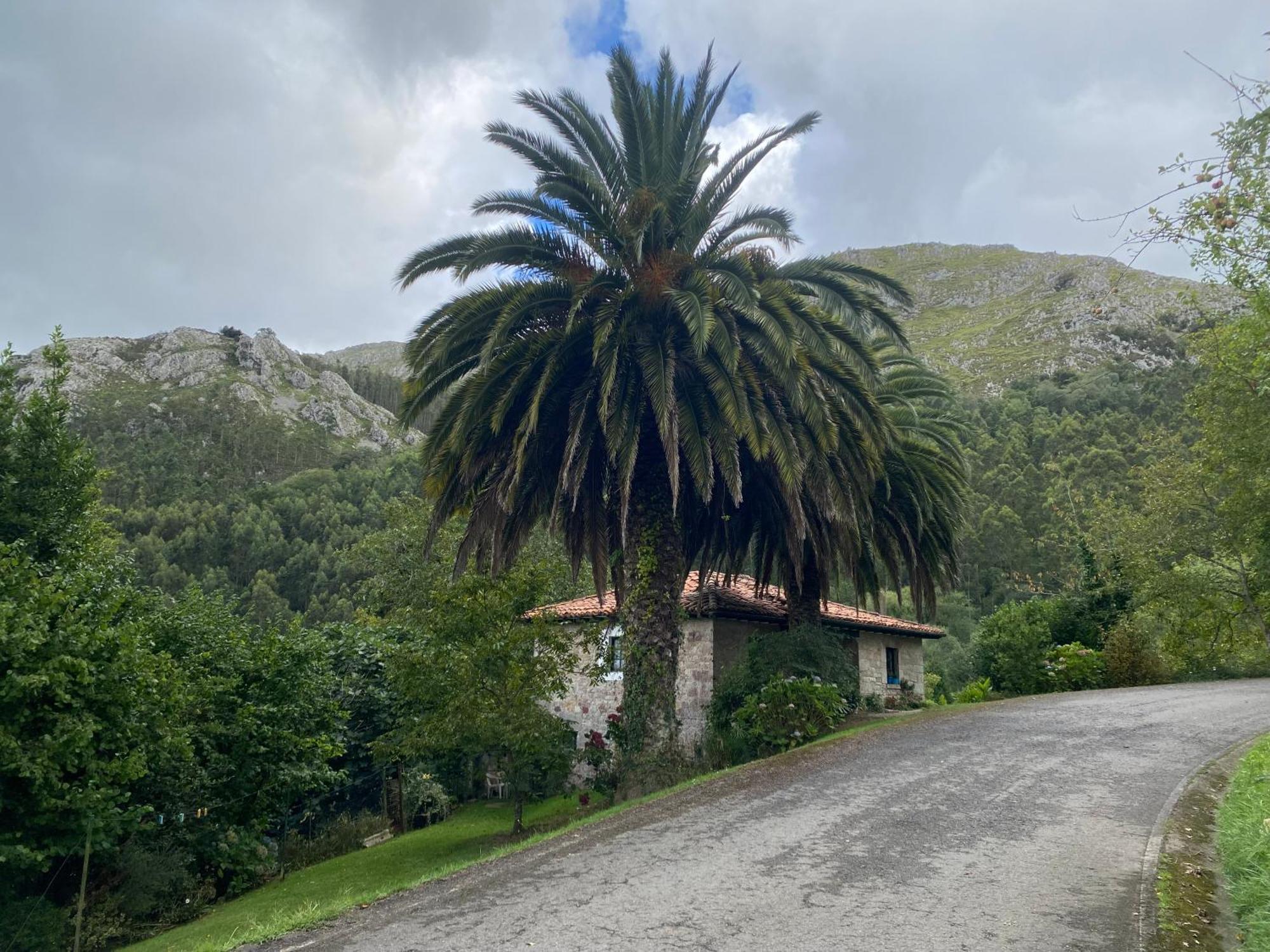 Villa Casa Estilo Rural Con Jardin Entre Playa Y Montana Caravia Exterior foto